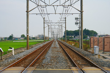 アメンボ