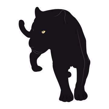 Black Panther. Vector illustration.