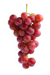 bunches of Summer fresh red grape with white isolate background