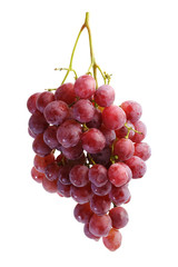 bunches of Summer fresh red grape with white isolate background