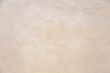 white wool texture material of carpet.