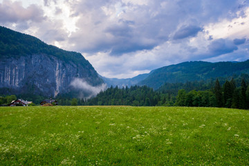 Fototapeta premium Alpine meadow in Salzkammergut