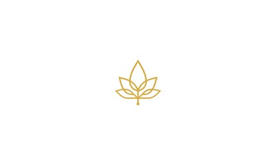 maple, leaf, cannabis, luxury, emblem symbol icon vector logo