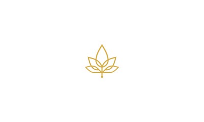 maple, leaf, cannabis, luxury, emblem symbol icon vector logo - 166002837