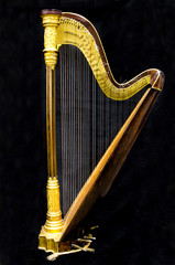Golden harp. Musical instrument on the black background. 
