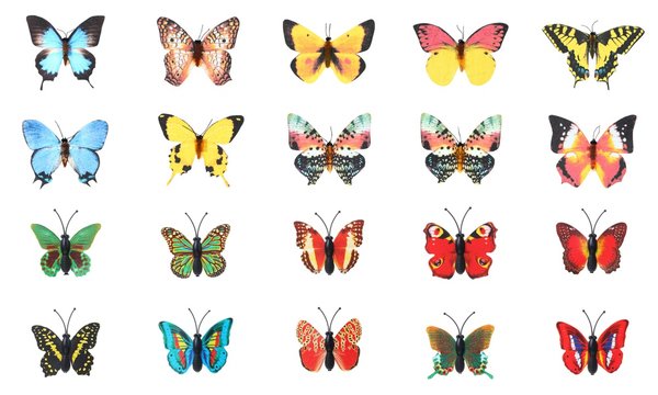 collection set colorful butterfly on white background