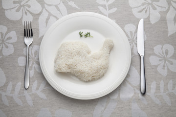 Rice and chicken path on the dinner table
