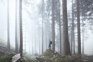 Obraz premium Hiker in misty forest