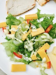 Home made chicken and cheddar cheese mixed salad 