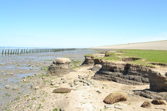 leemkliffen aan de Waddendijk bij de Waddenzee