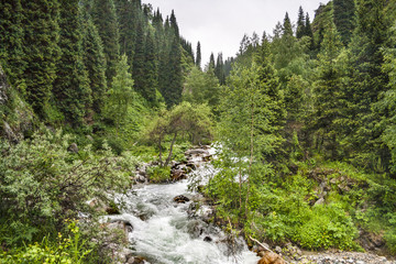 Obraz premium landscape river mountain cloudy sky summer