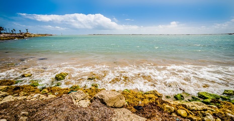 coastal landscape near padre island texas