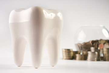 White healthy human enamel tooth model and glass piggy box with stacked coins isolated on white background with copy space. Financial Concept Dentist Money concept. Whitening of tooth enamel