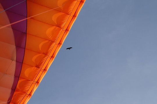 parapente