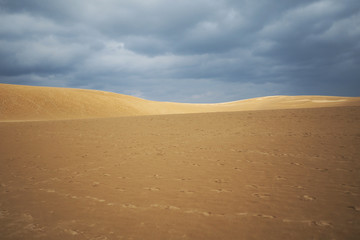 Fototapeta na wymiar Tottori sand dunes under the rain clouds Japan