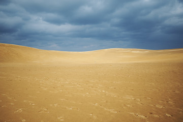 Fototapeta na wymiar Tottori sand dunes under the rain clouds Japan