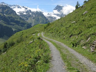 Footpath towards snow capped mountains near Engelberg, Switzerland