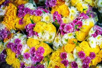 Colorful chrysanthemum flowers textured background.