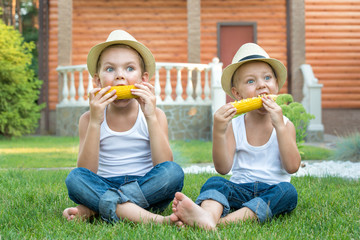Two brothers sitting on the grass and eat corn on the cob in the  garden.