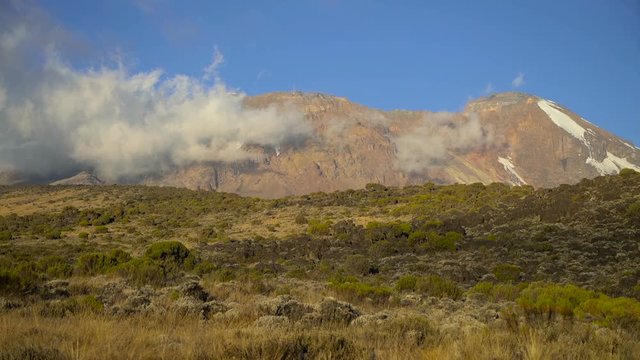 Kilimanjaro mountain, view from Shira camp. Machame route. Uhuru peak. Kilimanjaro Summit Uhuru Peak. The summit at the sunset. Top of the volcano. The top of the mountain seen from the Shira camp.