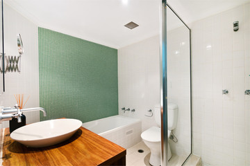 A modern bathroom with a shower area and a bathtub including a wall mirror