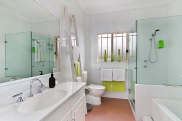A modern bathroom with a shower area and a bathtub including a wall mirror