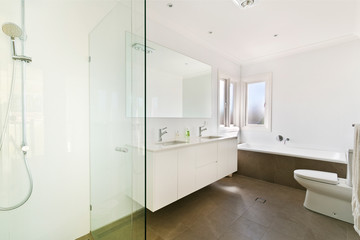 A modern bathroom with a shower area and a bathtub including a wall mirror