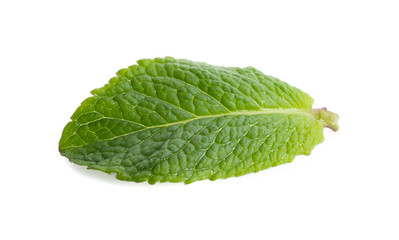 Fresh lemon balm leaf on white background