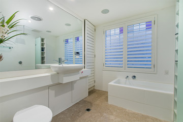 A modern bathroom with a shower area and a bathtub including a wall mirror
