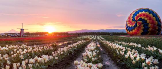 Hot air ballon and tulips