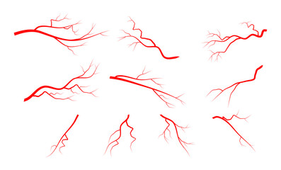 red vein set vector symbol icon design. Beautiful illustration isolated on white background
