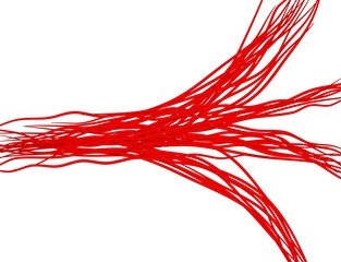 Obraz na płótnie Canvas red vein set vector symbol icon design. Beautiful illustration isolated on white background
