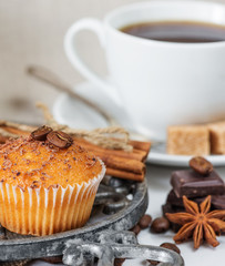 Cupcakes with chocolate chips