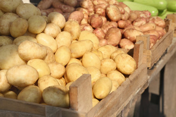 Different kinds of potato on market outdoors