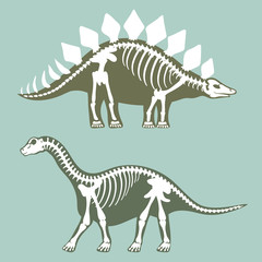 Dinosaurs skeletons silhouettes set fossil bone tyrannosaurus prehistoric animal dino bone vector flat illustration.