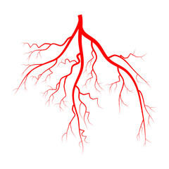 eye vein vector symbol icon design.