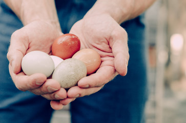 Hands holding Eggs