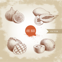 Hand drawn exotic fruits set. Fig fruits, papaya composition, mango with cut and kiwi fruits. Eco food sketch vector collection on old background.