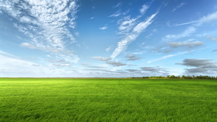 Obraz na płótnie Canvas clouds over the field/ bright summer photo Ukraine