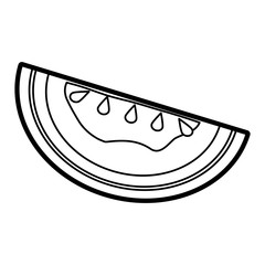 watermelon vector illustration