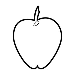 apple vector illustration