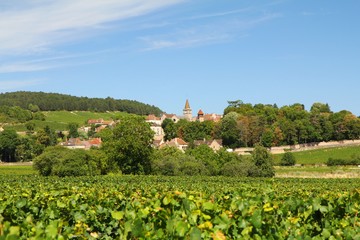 Fototapeta na wymiar Monthelie, ein Dorf im Burgund, mit den typischen bunten Ziegel auf dem Kirchendach