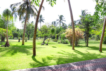 View of beautiful garden with tropical palms at resort