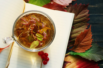 Herbal tea in a glass transparent cup and open pure notebook on autumn leaves. Herbal tea. Traditional medicine.