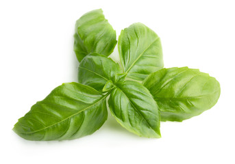 Basil