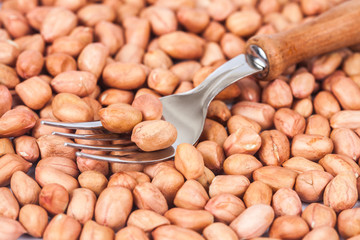 ground nut or peanut with fork .