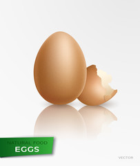 Realistic egg. Vector