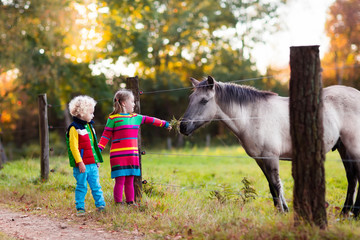 Kids feeding horse on a farm