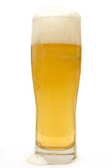 Bier