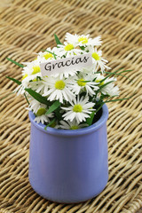 Gracias (thank you in Spanish) with daisy flowers in vase on wicker surface

